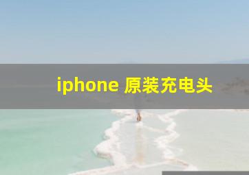 iphone 原装充电头